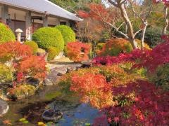 真龍寺