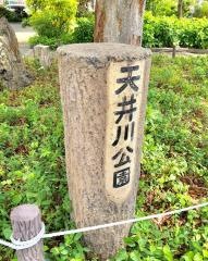 天井川公園