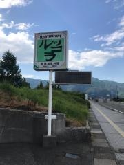 ルッコラ