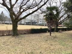 栃木県立岡本台病院