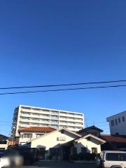 カフェテリア南南西