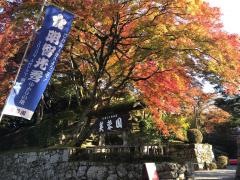 芙蓉園　本館