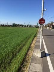 「日辺高田」バス停留所