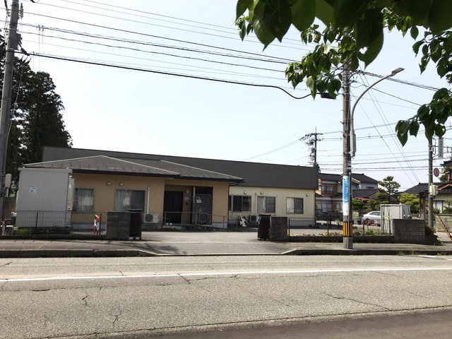 やまゆり