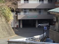 サンシニア河津