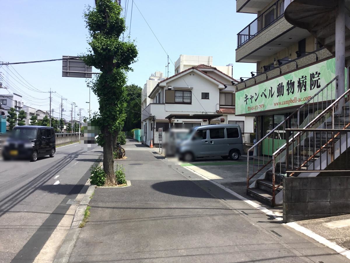 キャンベル動物病院