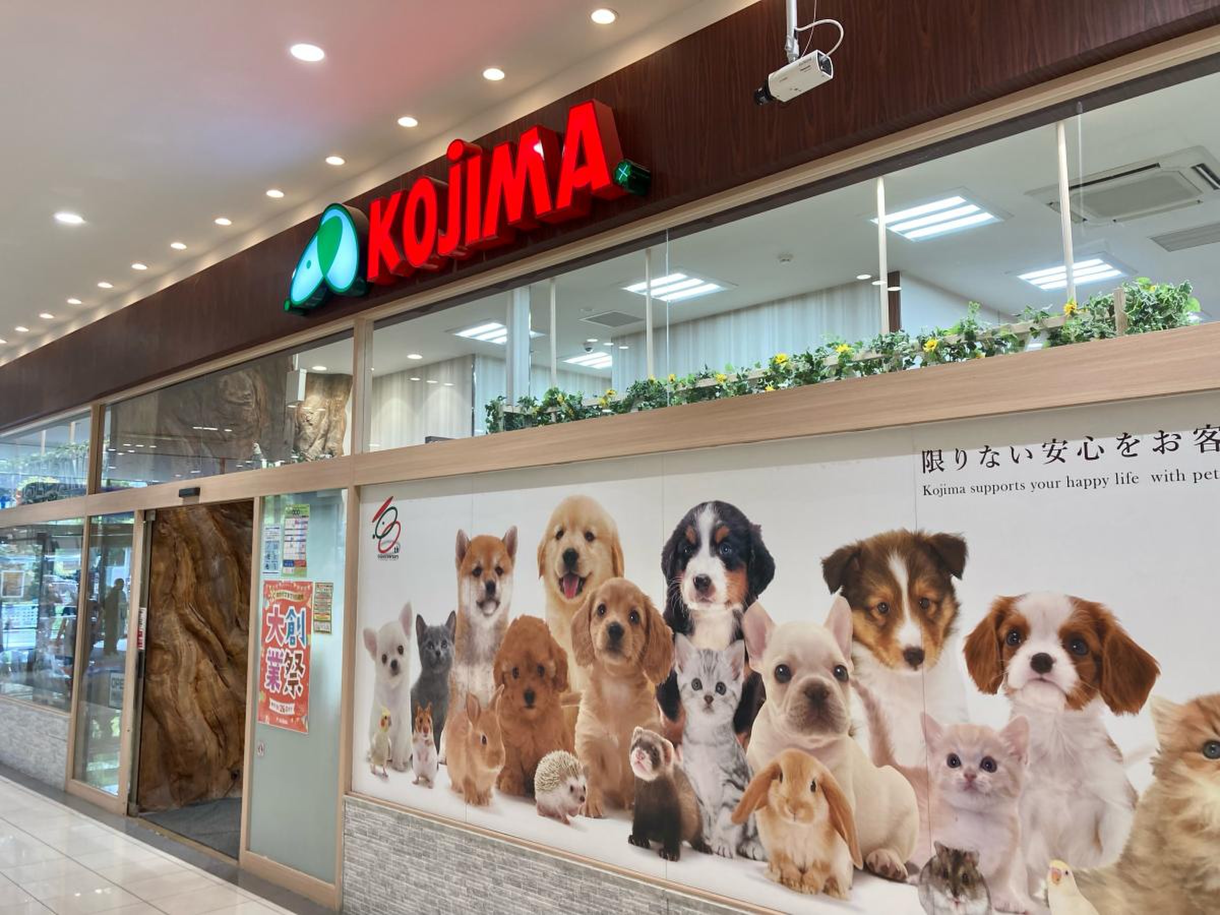 当時のメディア報道・掲載写真