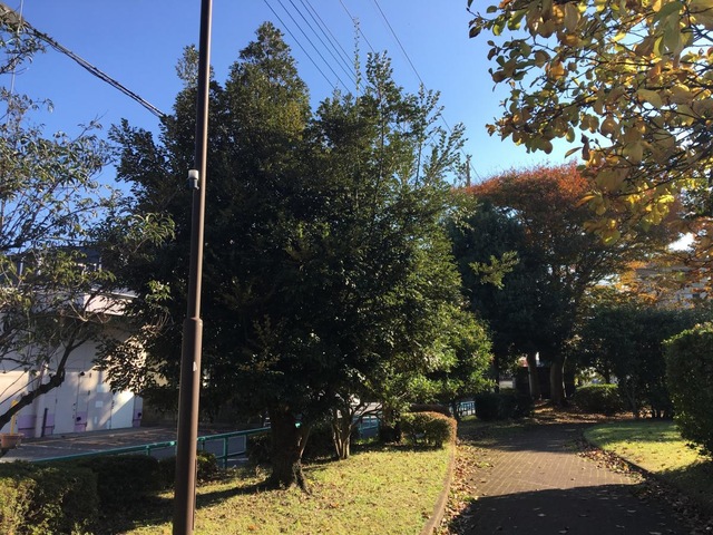 施設写真20