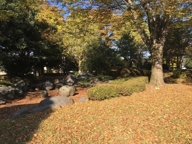 施設写真16