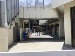 蓮根保育園