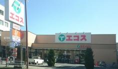 エコス大横店