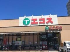エコス大横店