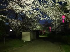 清水緑地