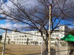北清水小学校