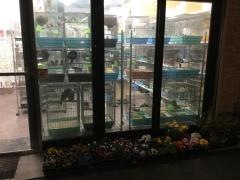 千葉屋鳥獣店