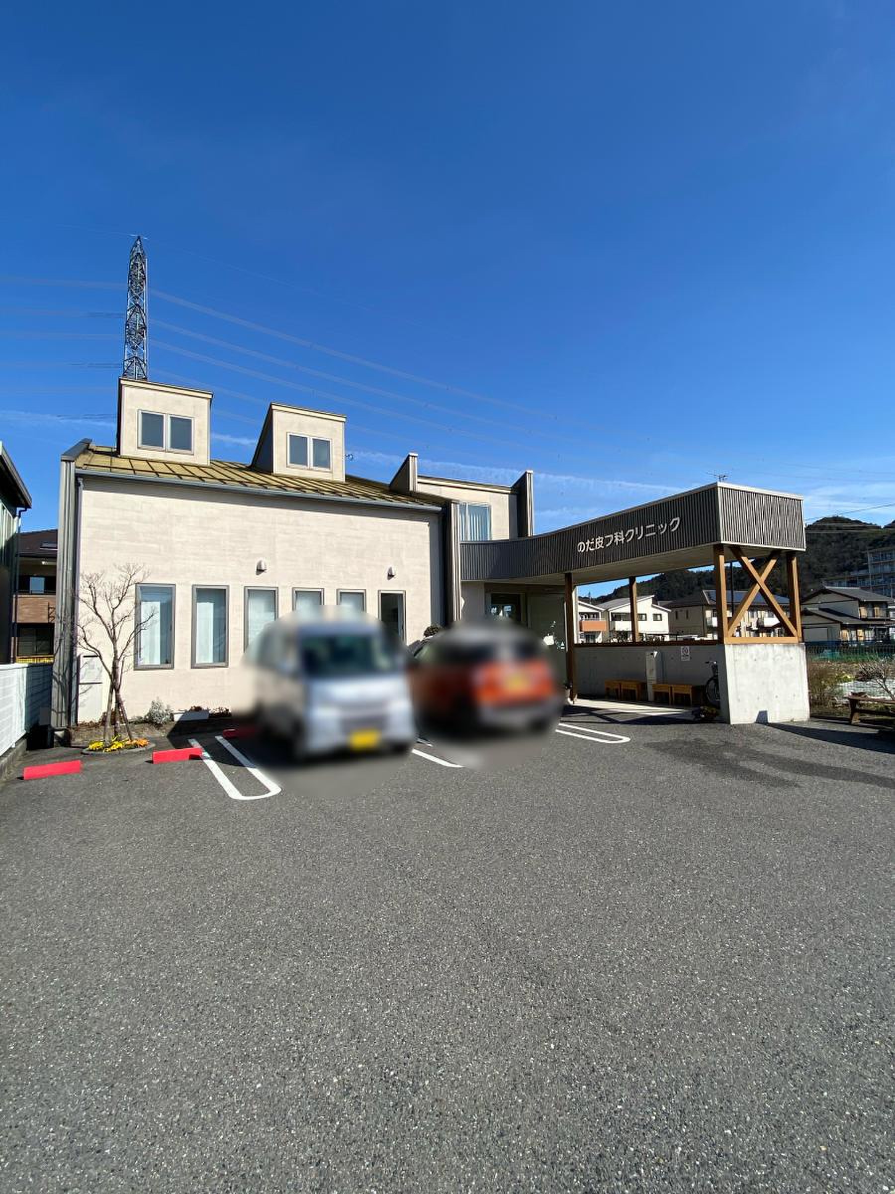 野田 皮膚 科
