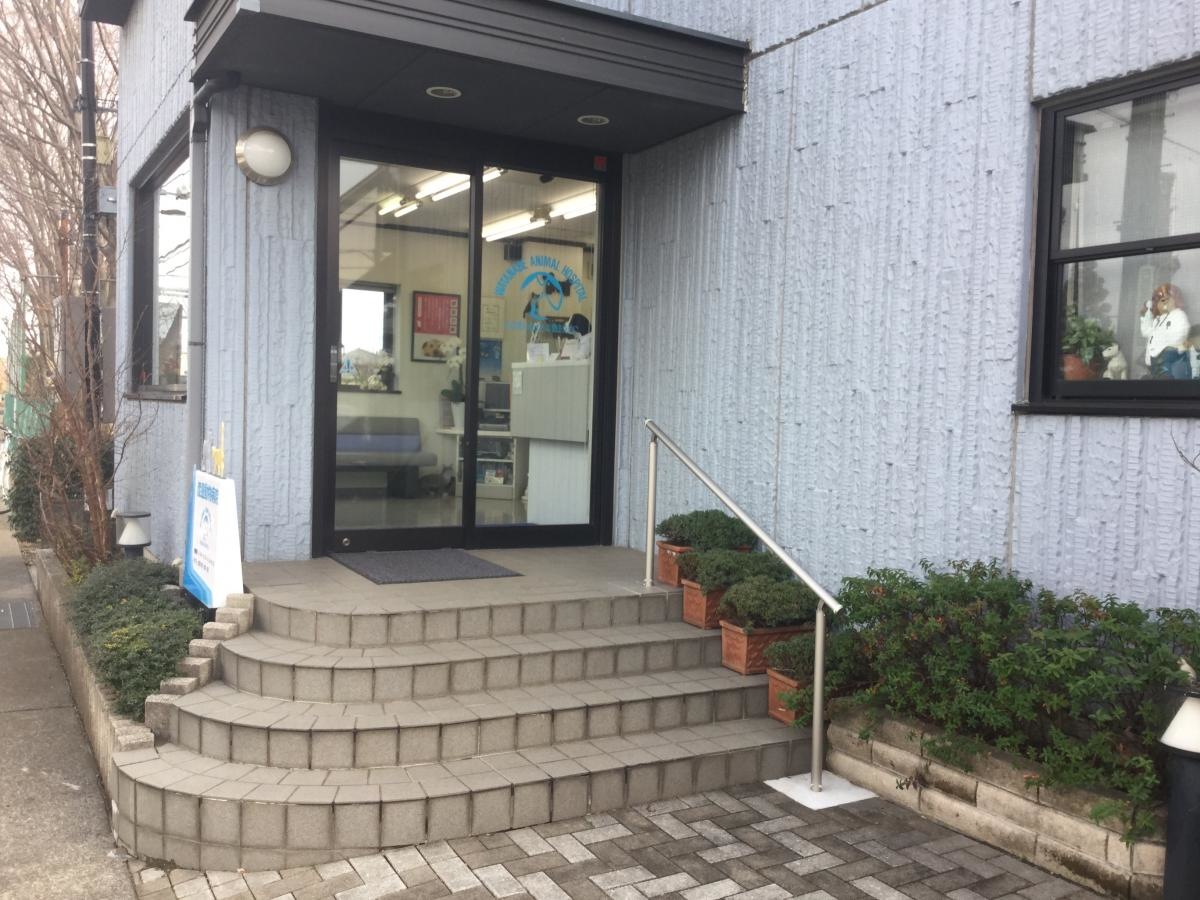 渡邊動物病院