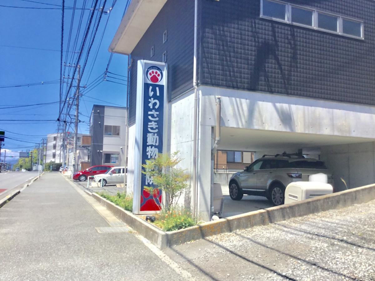 いわさき動物病院