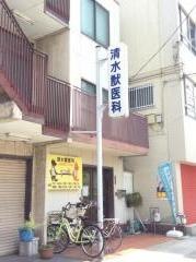 清水獣医科
