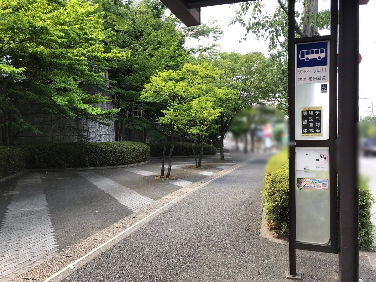 全体