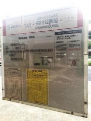 「白川公園前」バス停留所