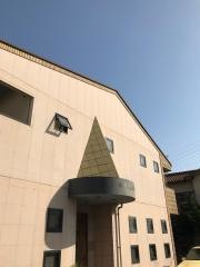 八仙