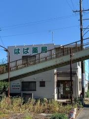 はば薬局