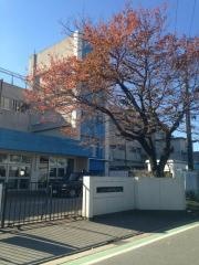 新松戸南小学校