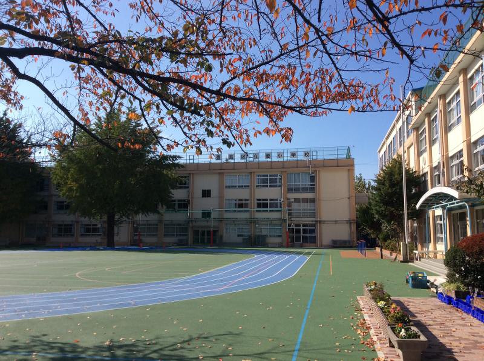 豊島 区立 要 小学校