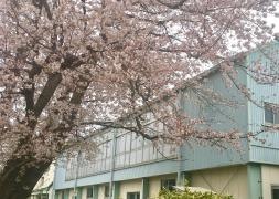 第三小学校