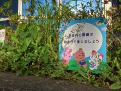 鎌倉みどり幼稚園