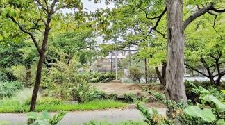 谷矢部池公園