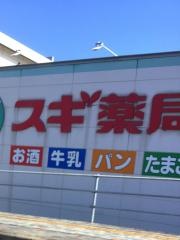 スギ薬局　多治見南店