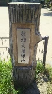杭瀬大崩緑地