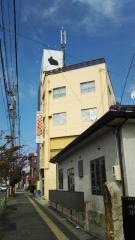うさぎの丘