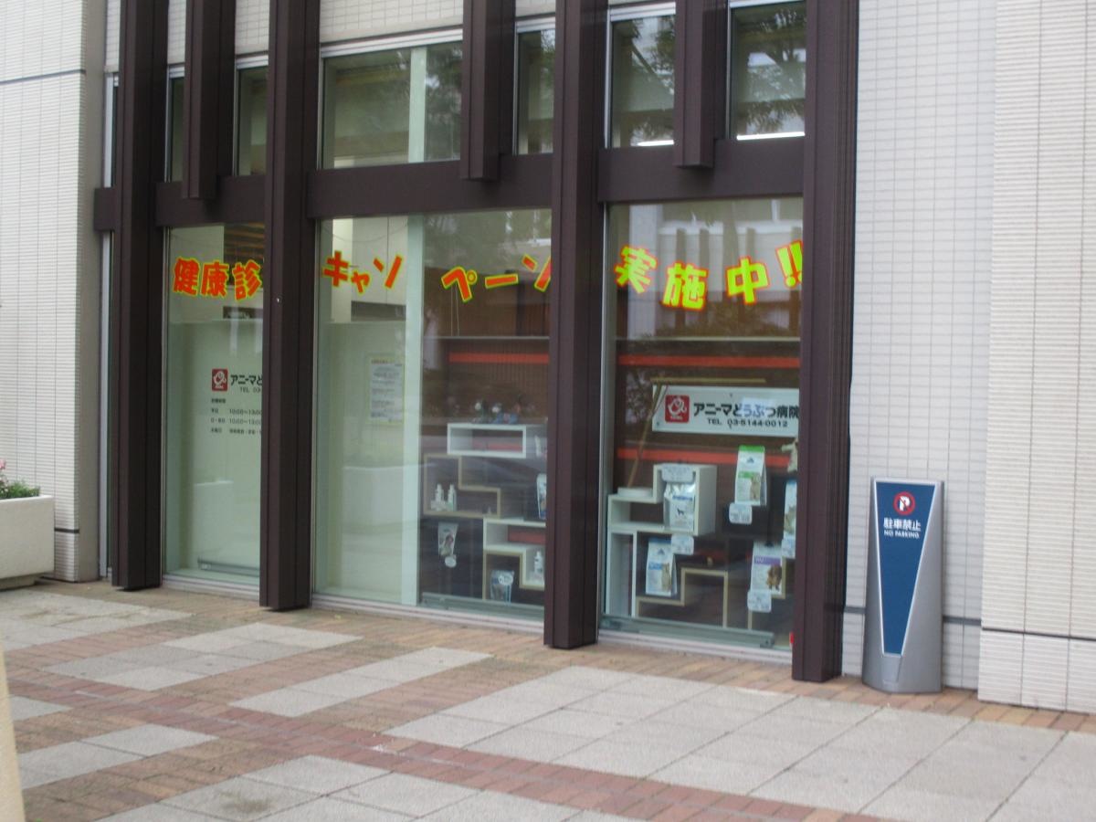 建物