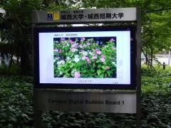 城西大学　坂戸キャンパス