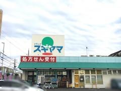 ドラッグスギヤマ神の倉店