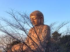聚楽園大仏
