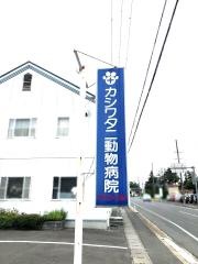 カシワタニ動物病院