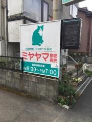 宮山動物病院