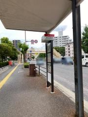 「荒江団地」バス停留所
