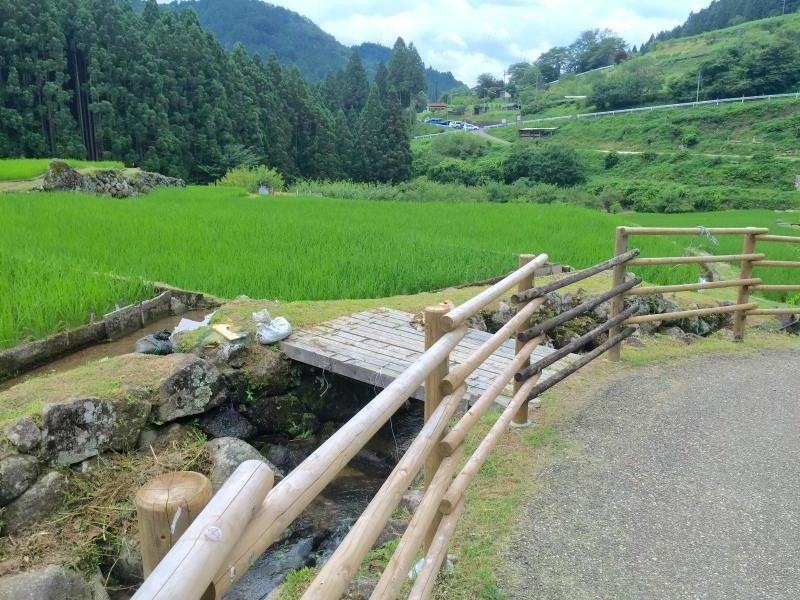 四谷の千枚田