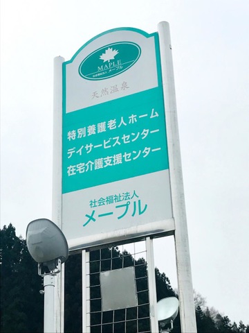 メープル