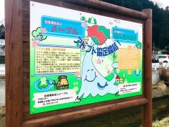 メープル
