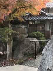 いそ部