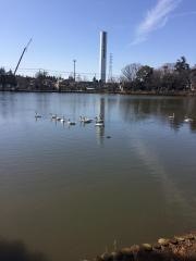 大島公園