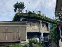 横浜孝道幼稚園