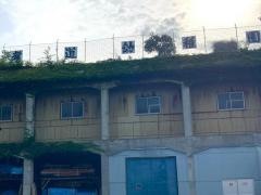 横浜孝道幼稚園