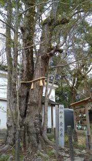梨木神社